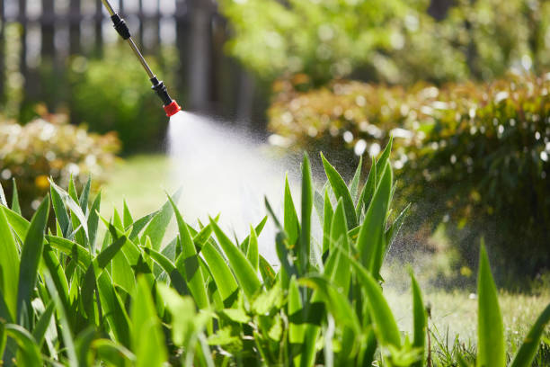 24/7 Emergency Mosquito Control experts in Blanding, UT